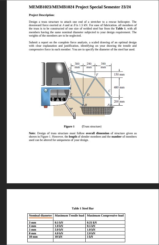 MEMB 1 0 2 3 / MEMB 1 0 2 4 Project Special