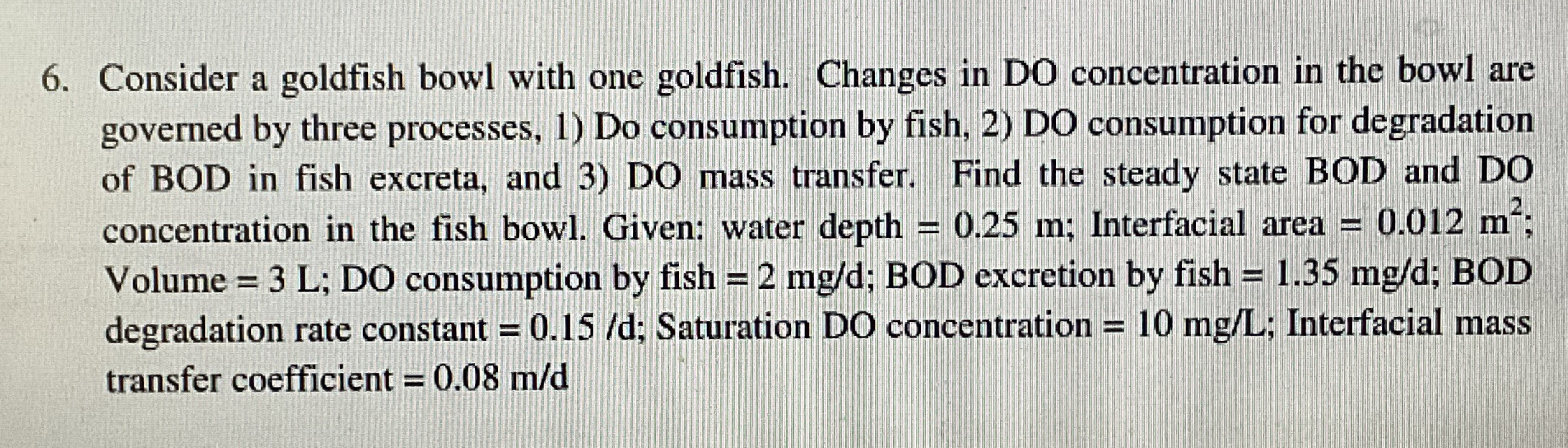 Consider a goldfish bowl with one goldfish.
