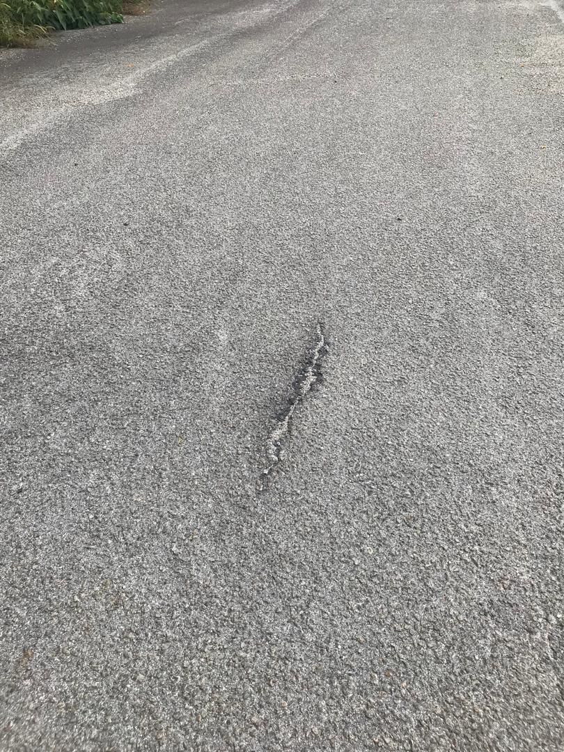 Explain why this crack happened in pavement and