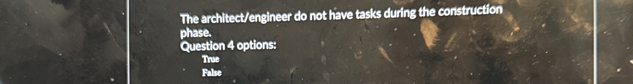 The architect / engineer do not have tasks during