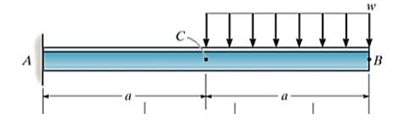 Determine the equation of the elastic line for