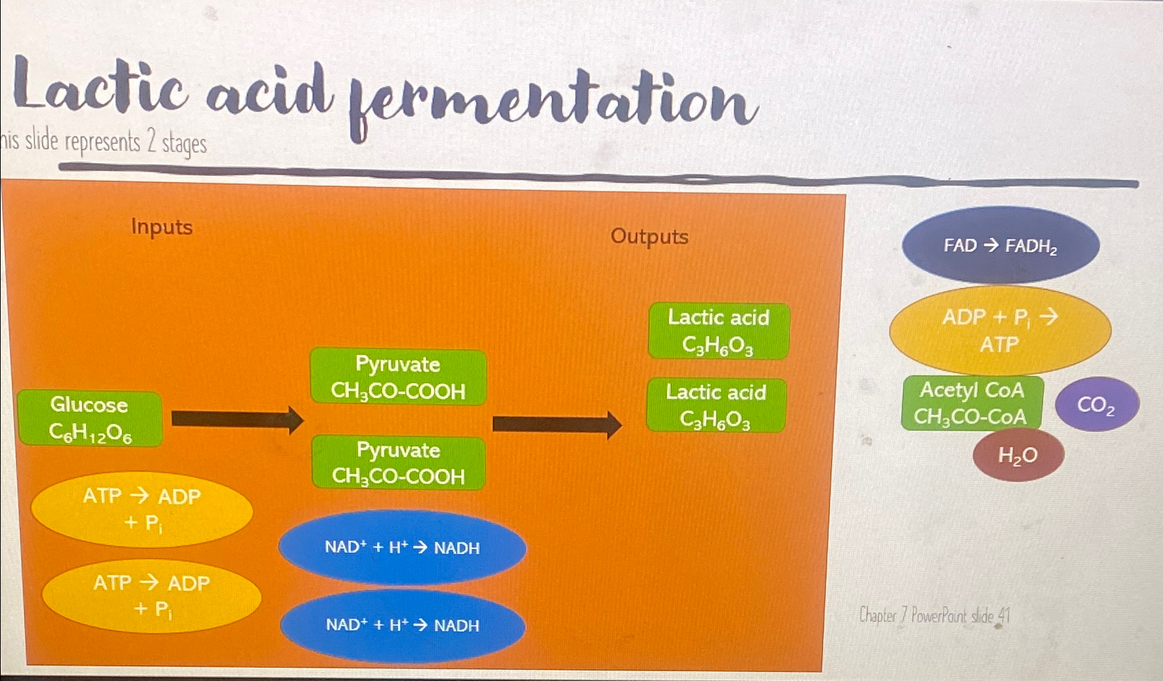 nis side represents 2 stages