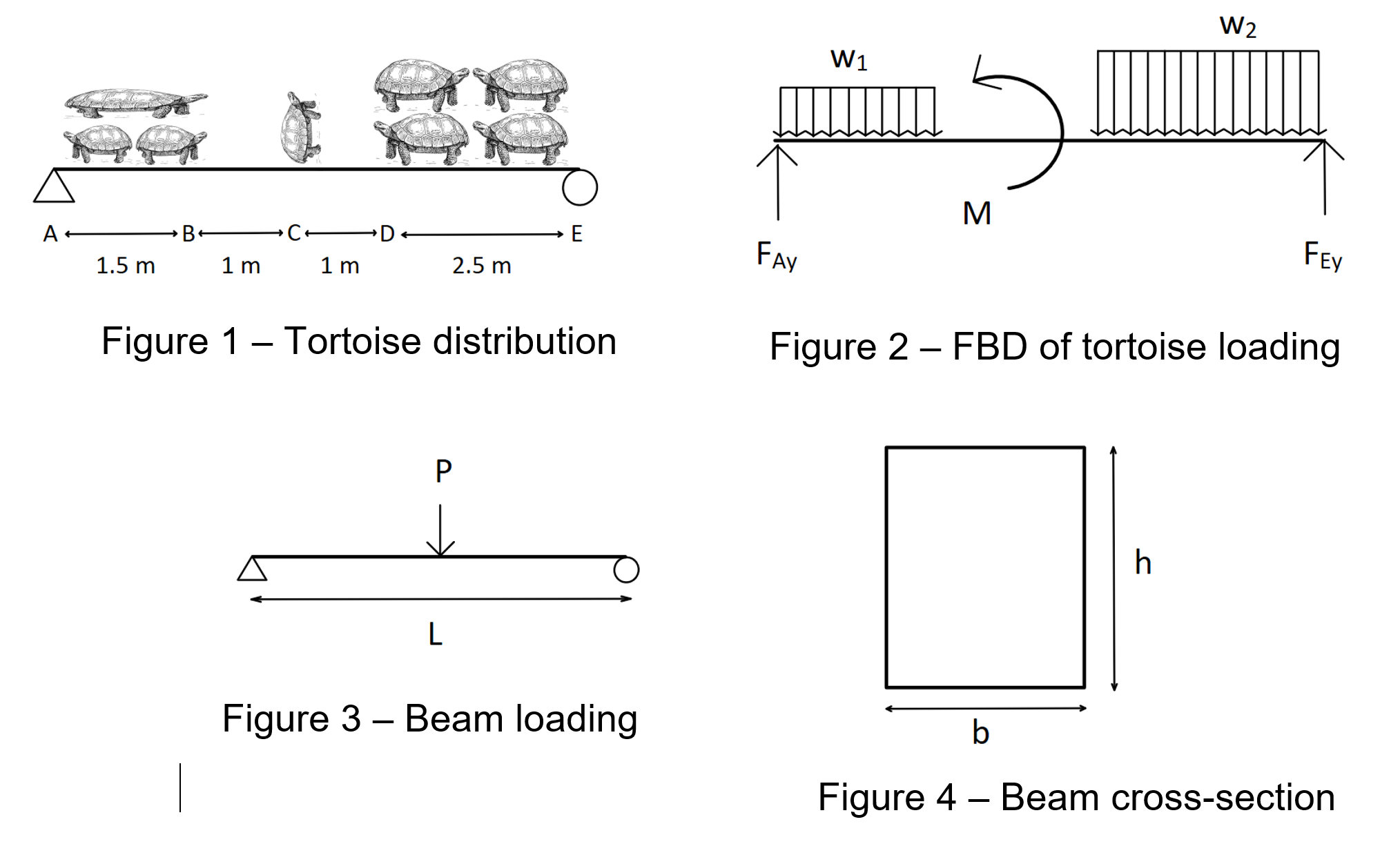 A tree felled by beavers spans a small creek.