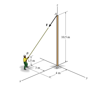 The man pulls on the rope with a force of F = 1 8