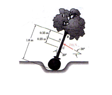 Un jardinero trata de colocar en posici n