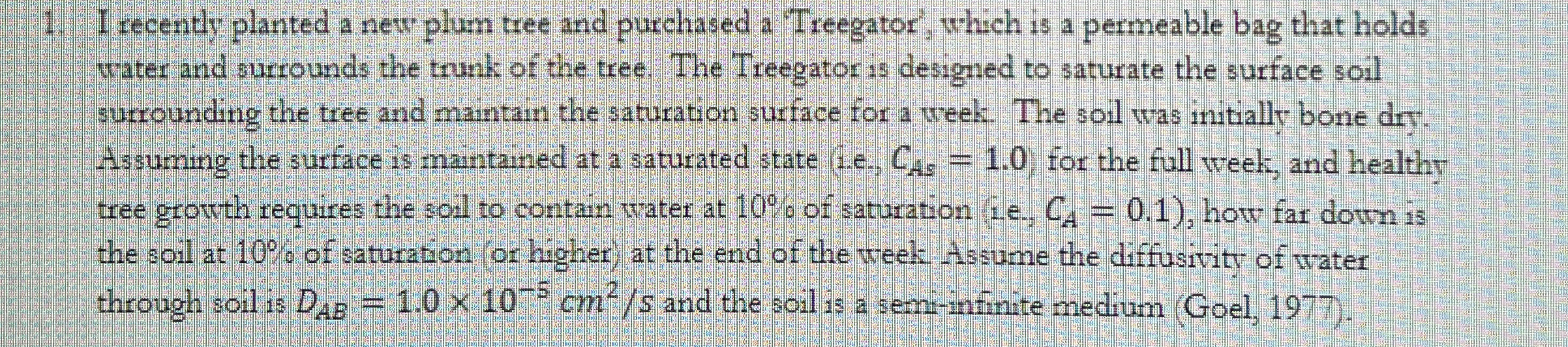 I secently planted a new plum tree and purchased