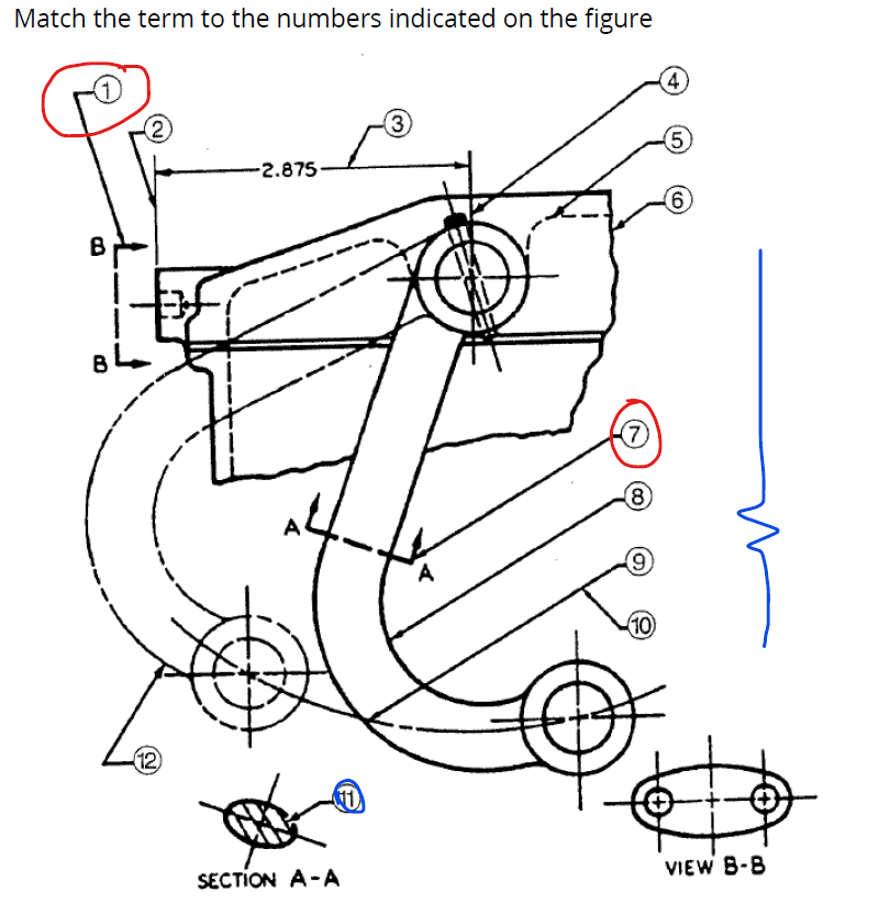 Match the term to the numbers indicated on the