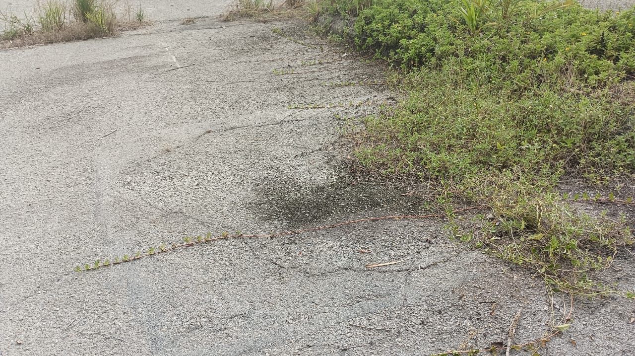 Explain the problem in pavement ( the problem ,