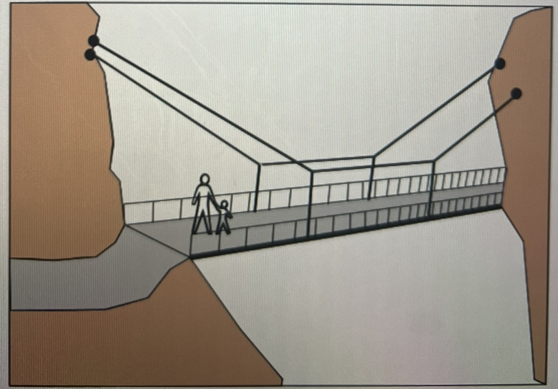 Find the force in each cable in the shown bridge