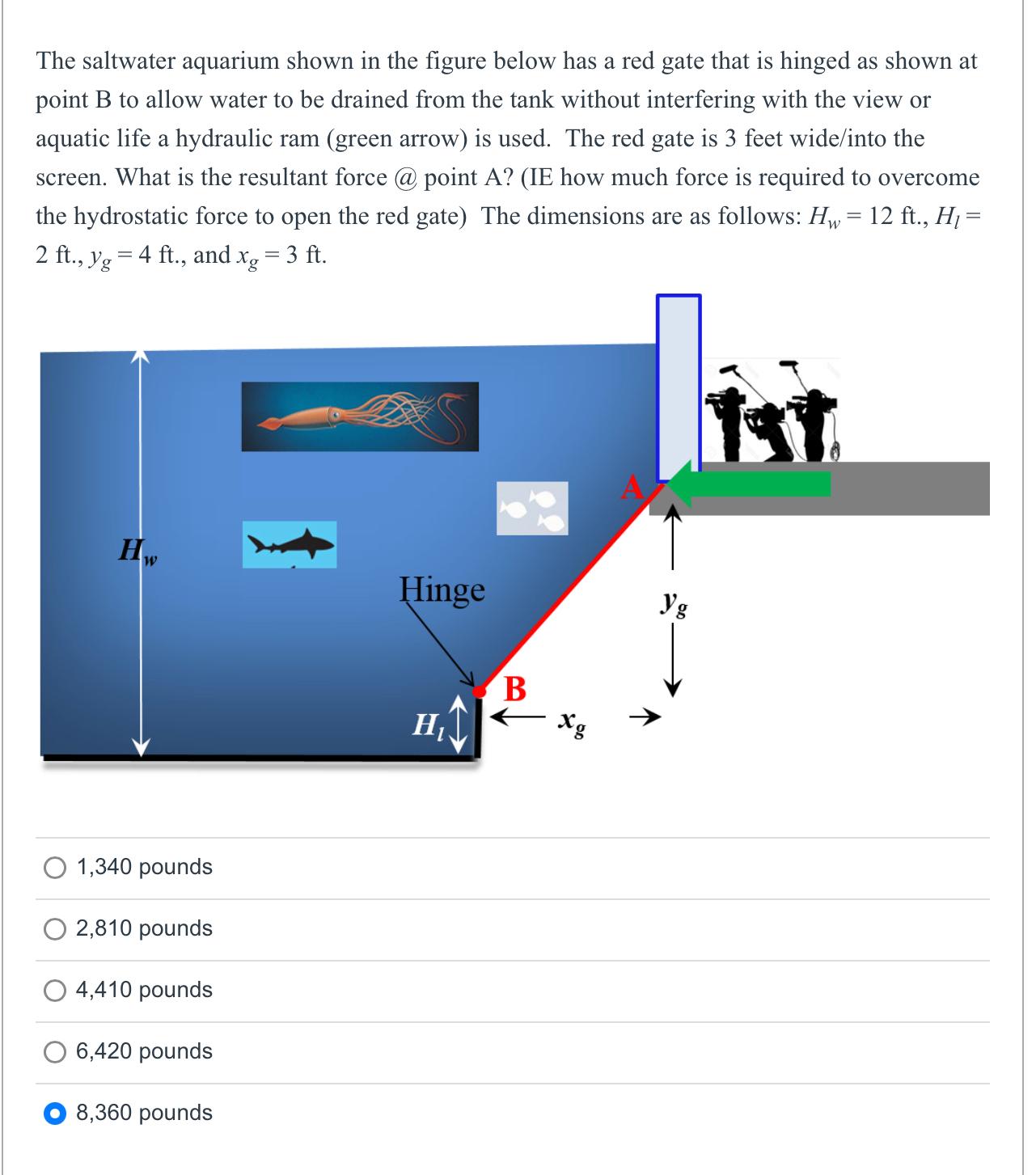 The saltwater aquarium shown in the figure below