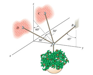 Cords AB , AC , and AD in ( Figure 1 ) can