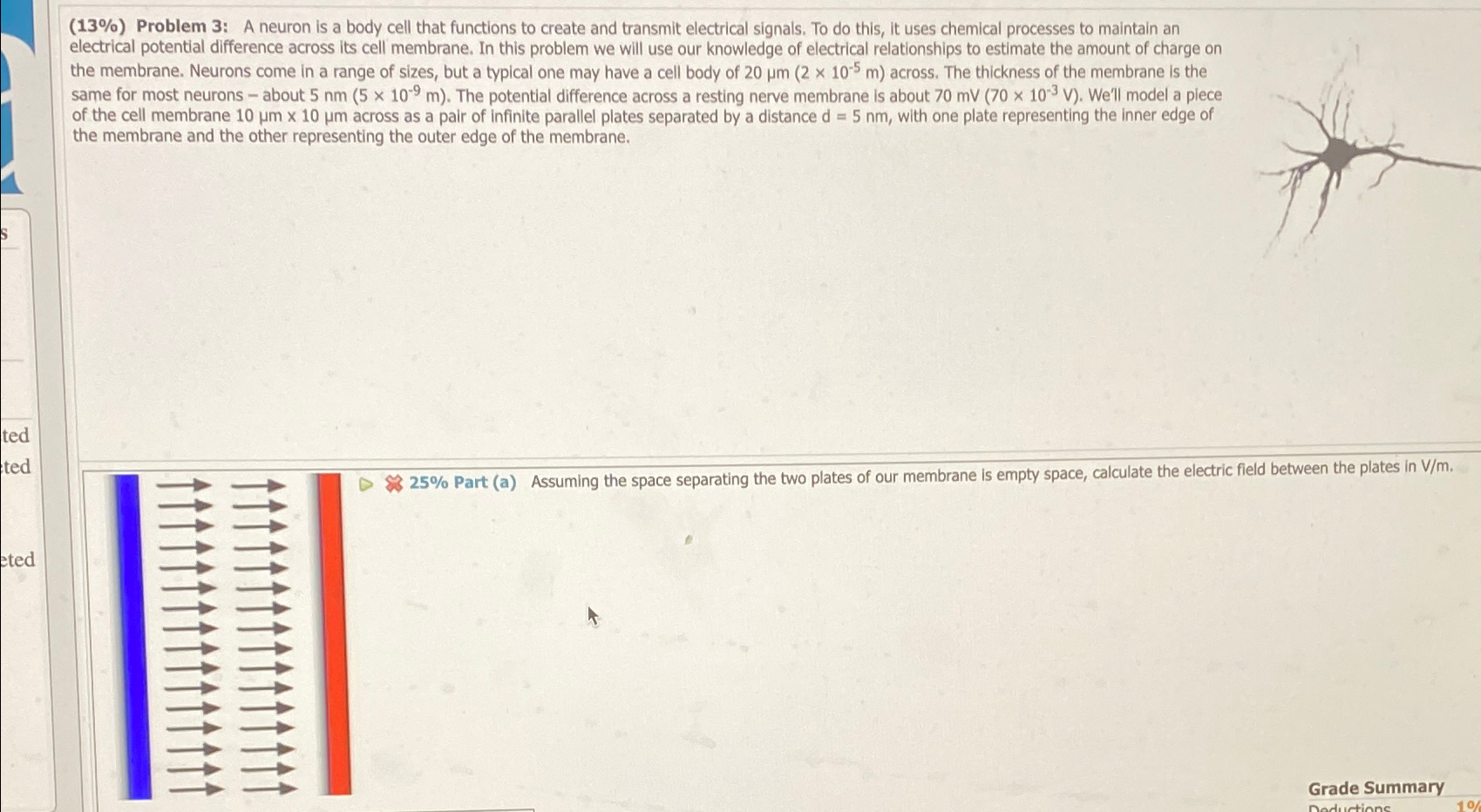 ( 1 3 % ) Problem 3 : A neuron is a body cell