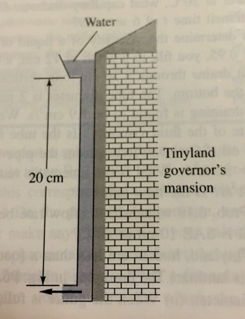 In Tinyland, houses are less than a foot high!