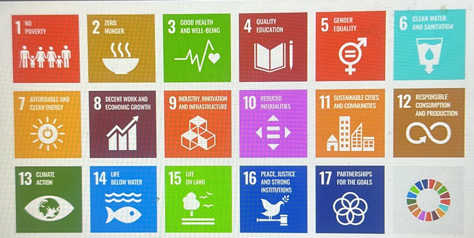 Explain each of goals