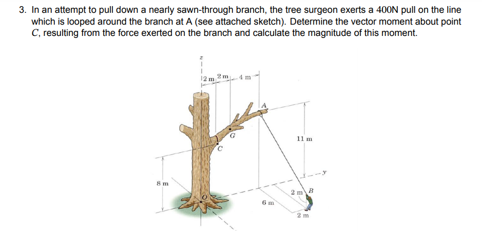 In an attempt to pull down a nearly sawn -