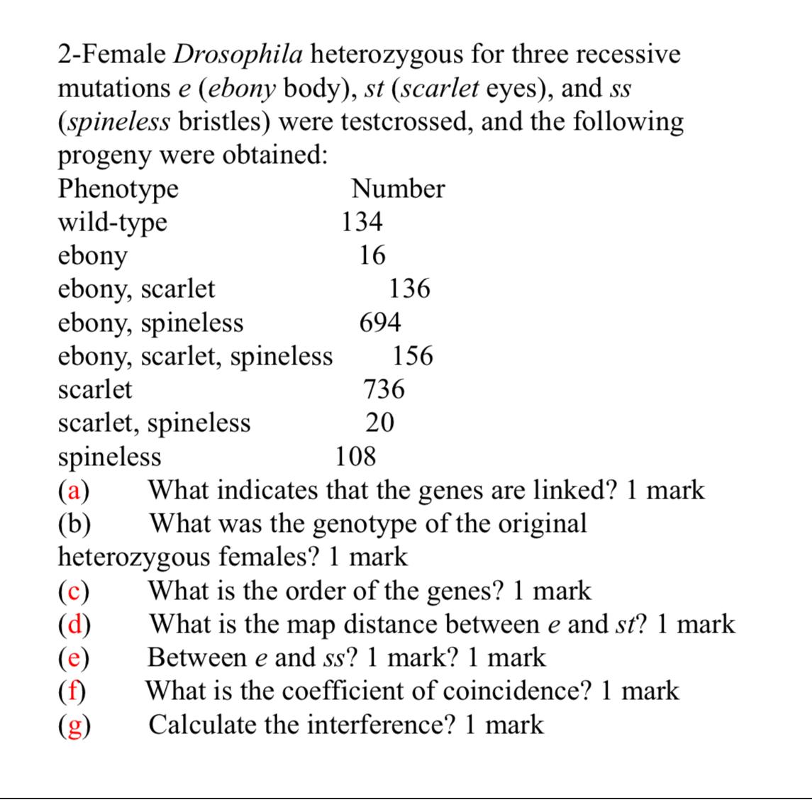 2 - Female Drosophila heterozygous for three
