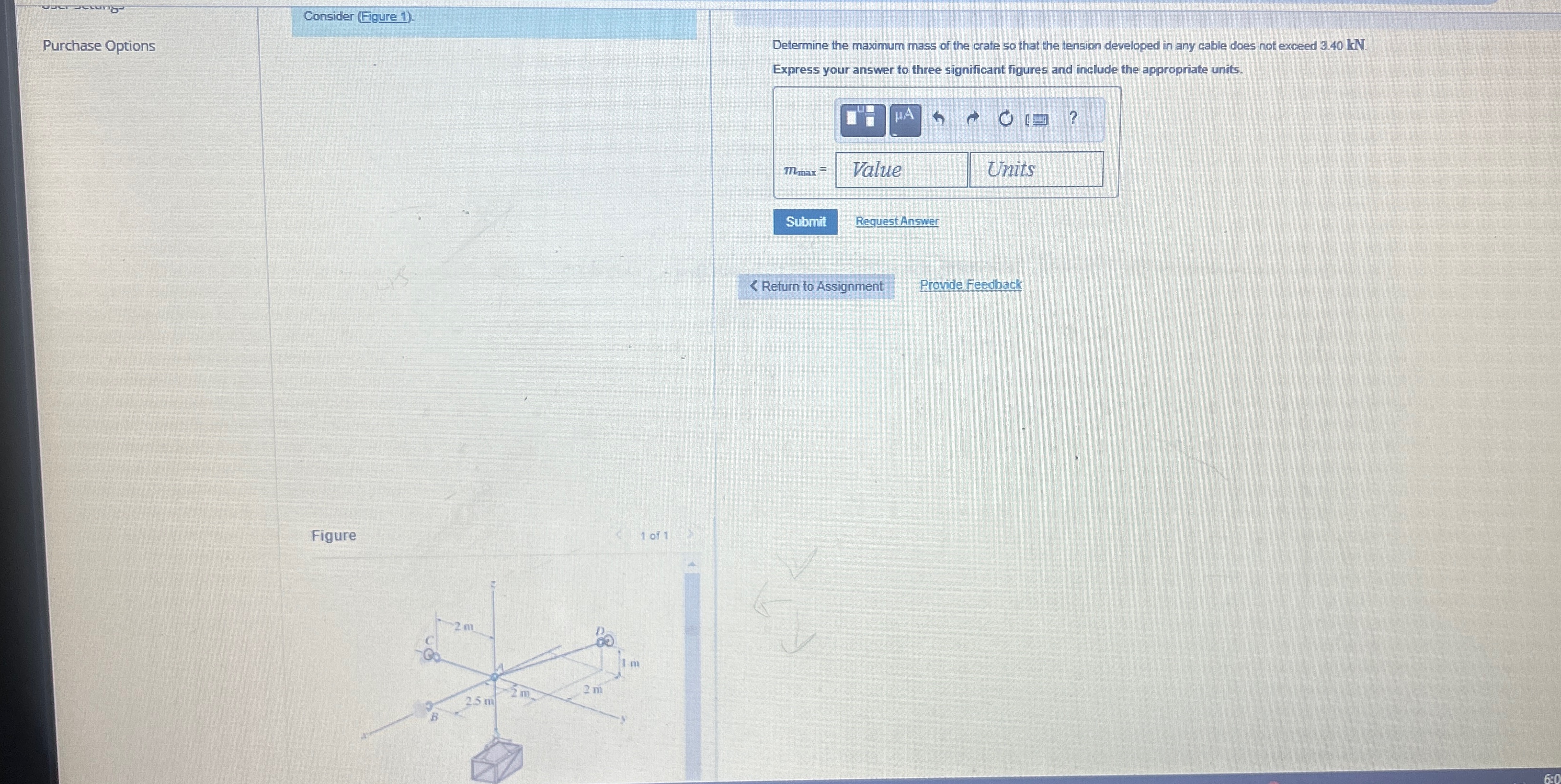 Purchase Options Determine the maximum mass of
