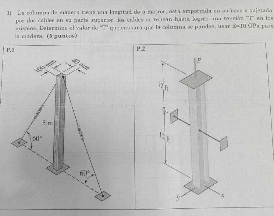 La columna de madera tiene una longitud de 5