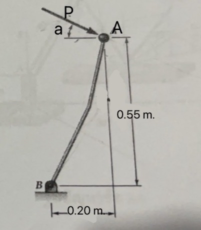 The force P has a magnitude of 4 4 N and the