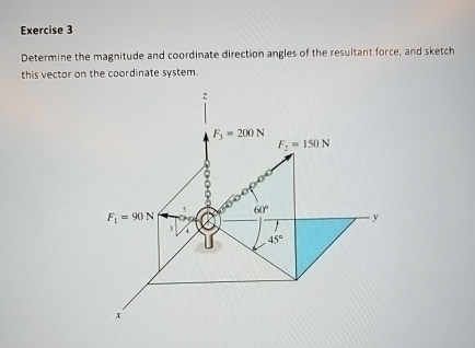 Exercise 3 Determine the magnitude and coordinate