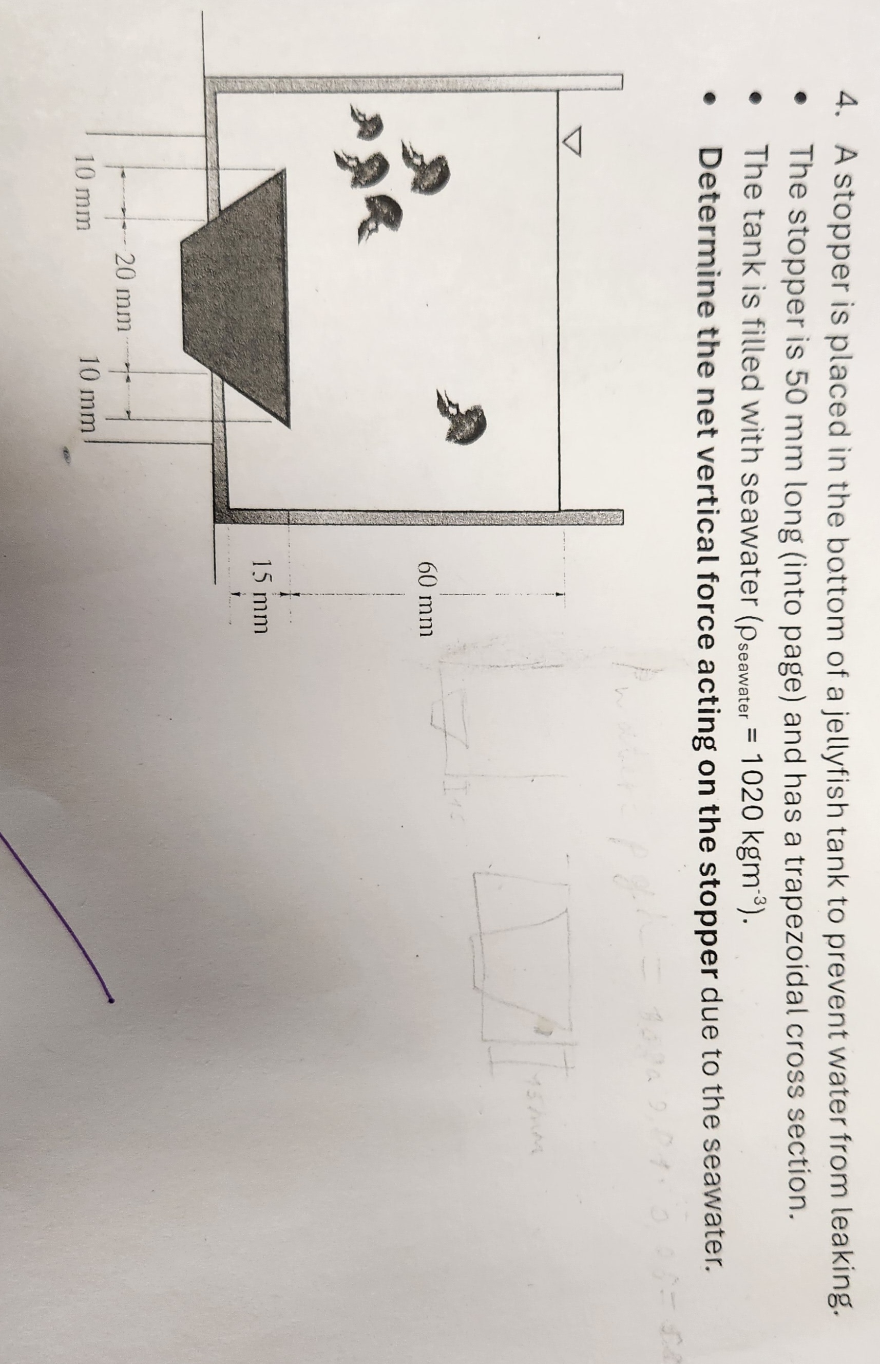 A stopper is placed in the bottom of a jellyfish