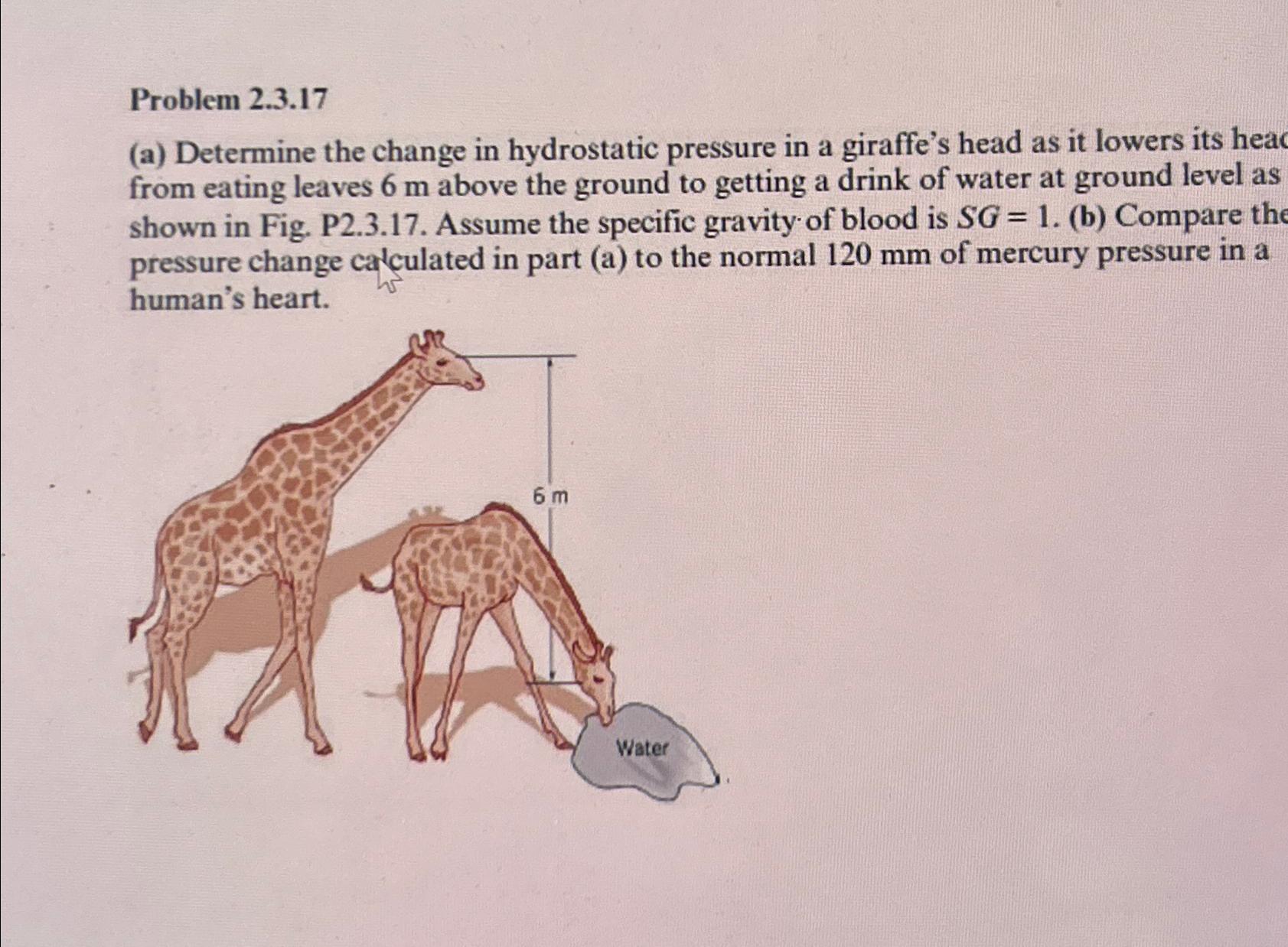 Problem 2 . 3 . 1 7 ( a ) Determine the change in