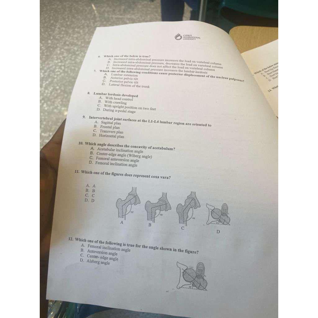 Intervertebral joint surfaces at the L 1 - L 4