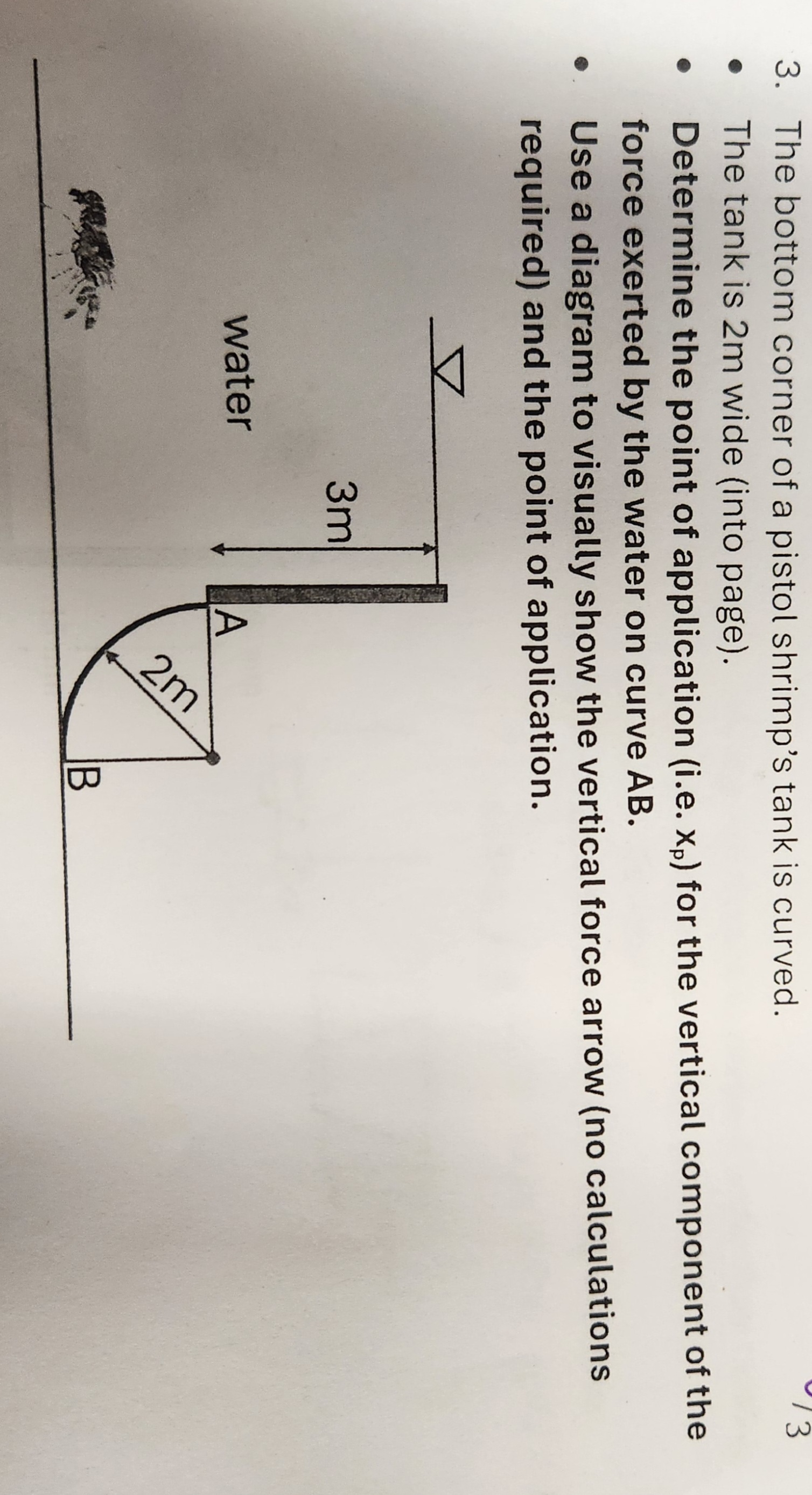 The bottom corner of a pistol shrimp's tank is
