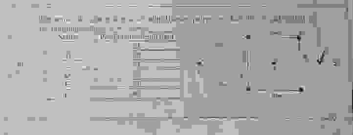 determine mean precipitation using theissen