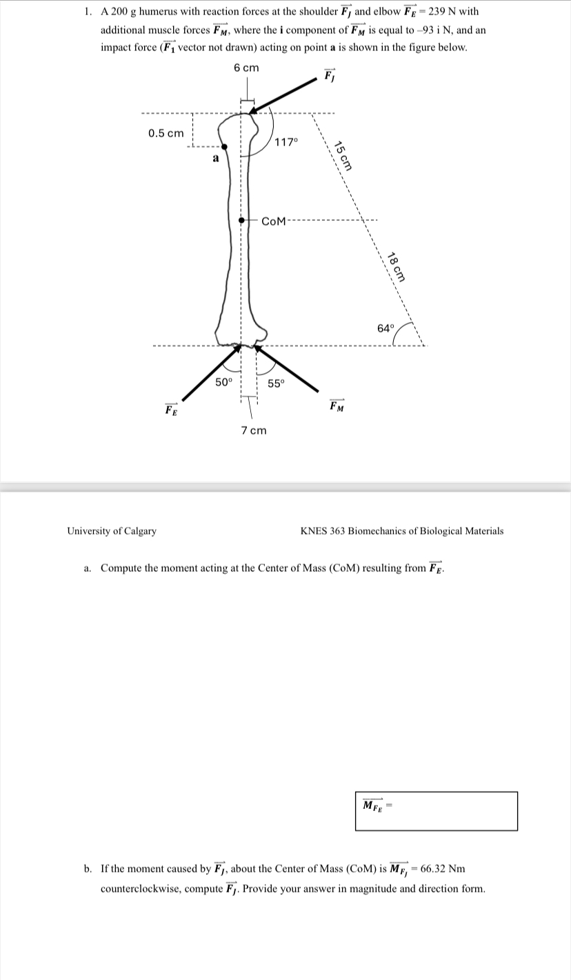A 2 0 0 g humerus with reaction forces at the