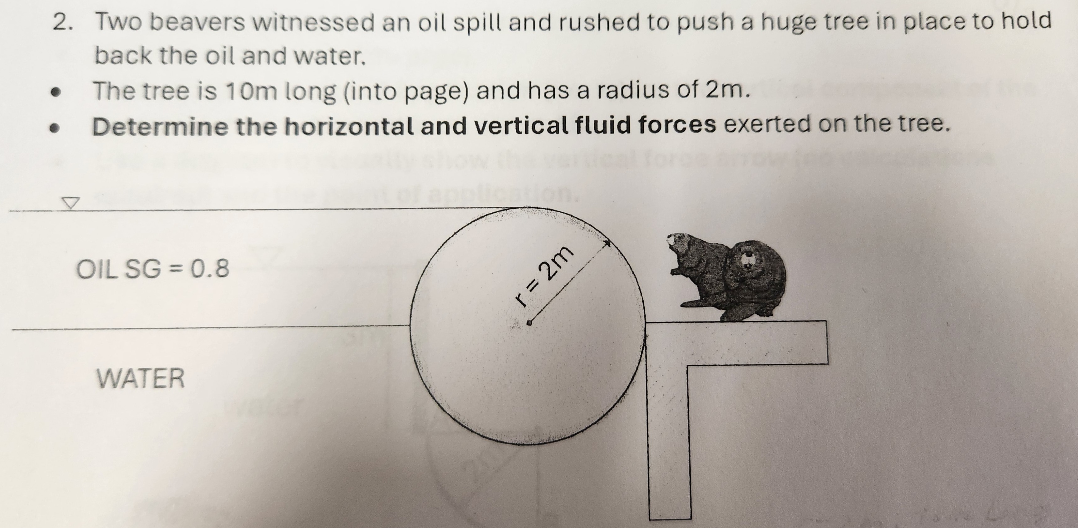 Two beavers witnessed an oil spill and rushed to