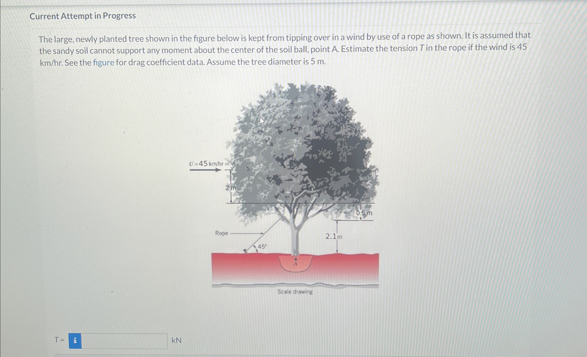 Current Attempt in Progress The large, newly