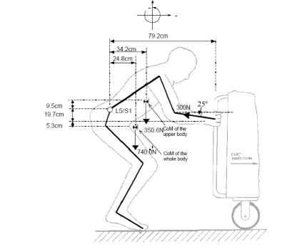 Compute the static compressian force at L 5 / S 1