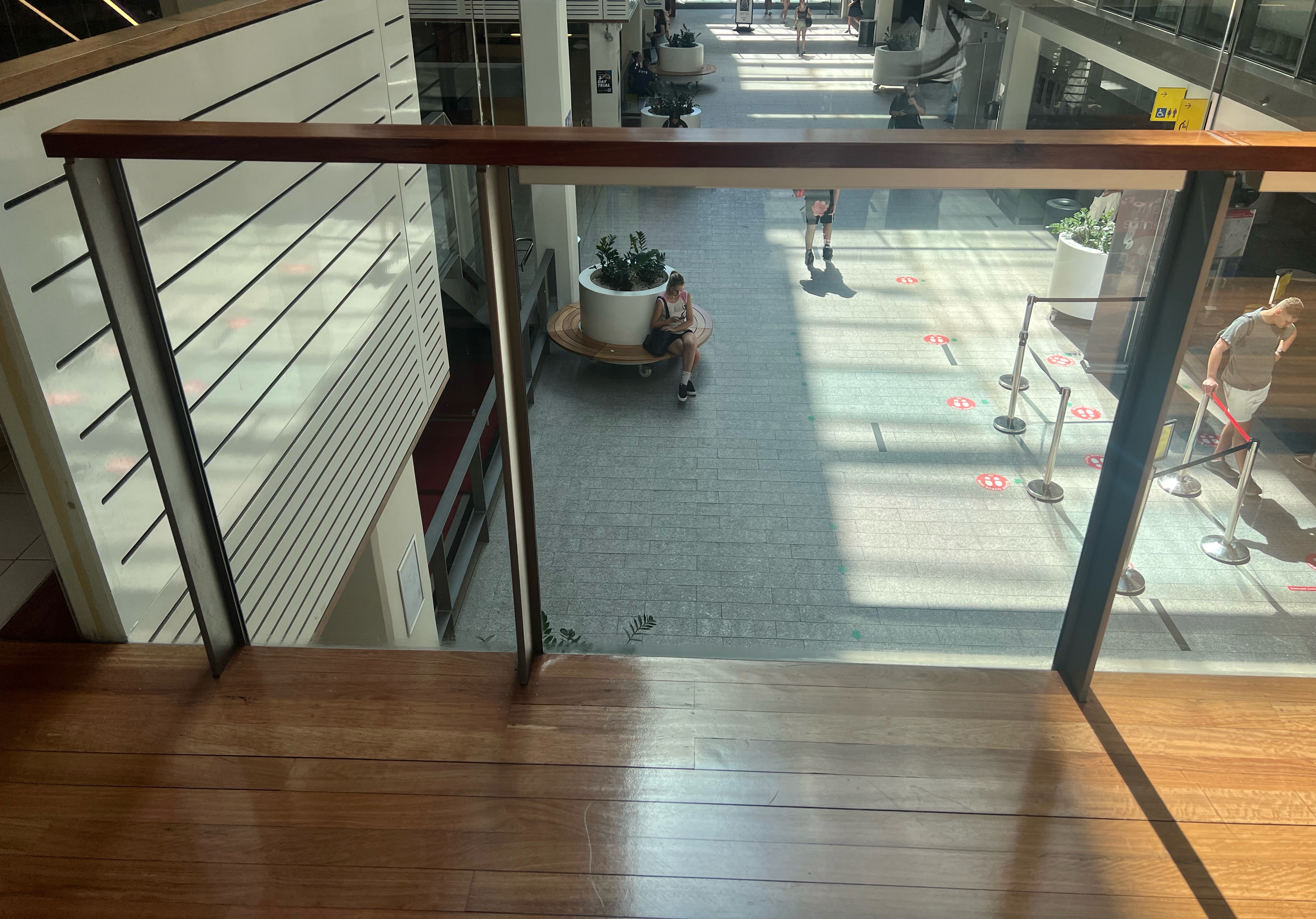 Can you please create a free body diagrams with