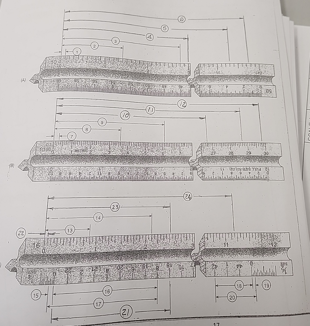 ( B ) ( 2 4 ) Fang ( 1 5 ) ( 1 6 ) ( 1 7 ) ( 1 8
