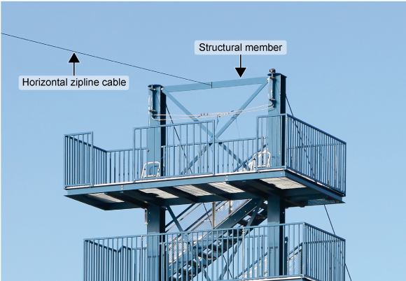 Draw a free - body diagram for the horizontal
