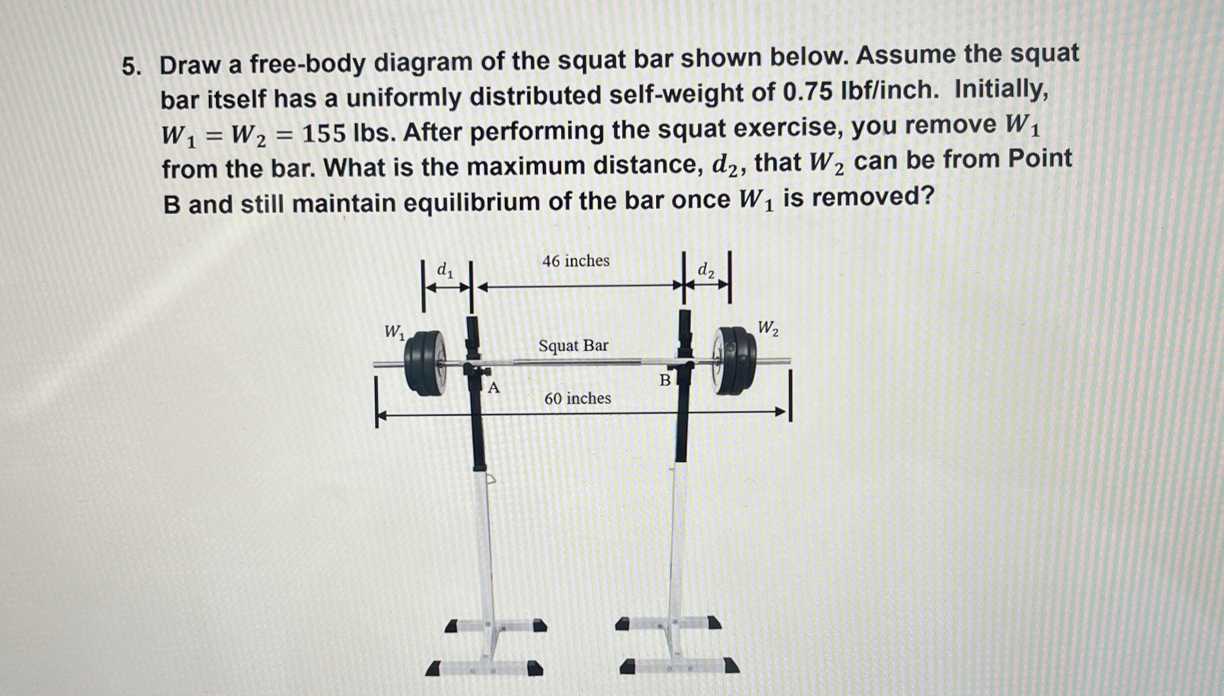 Draw a free - body diagram of the squat bar shown