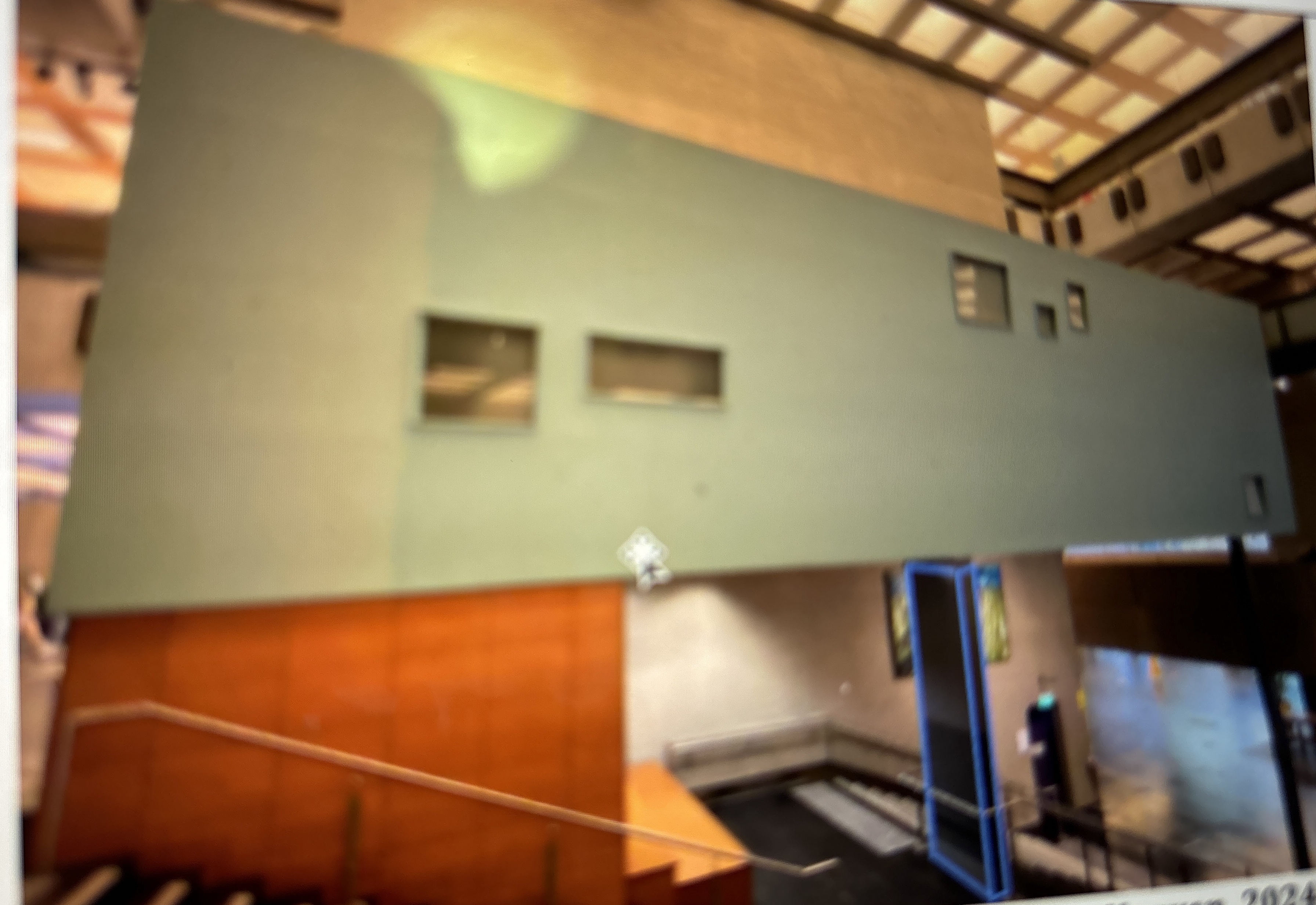 Draw a Free Body Diagram Of the black column.