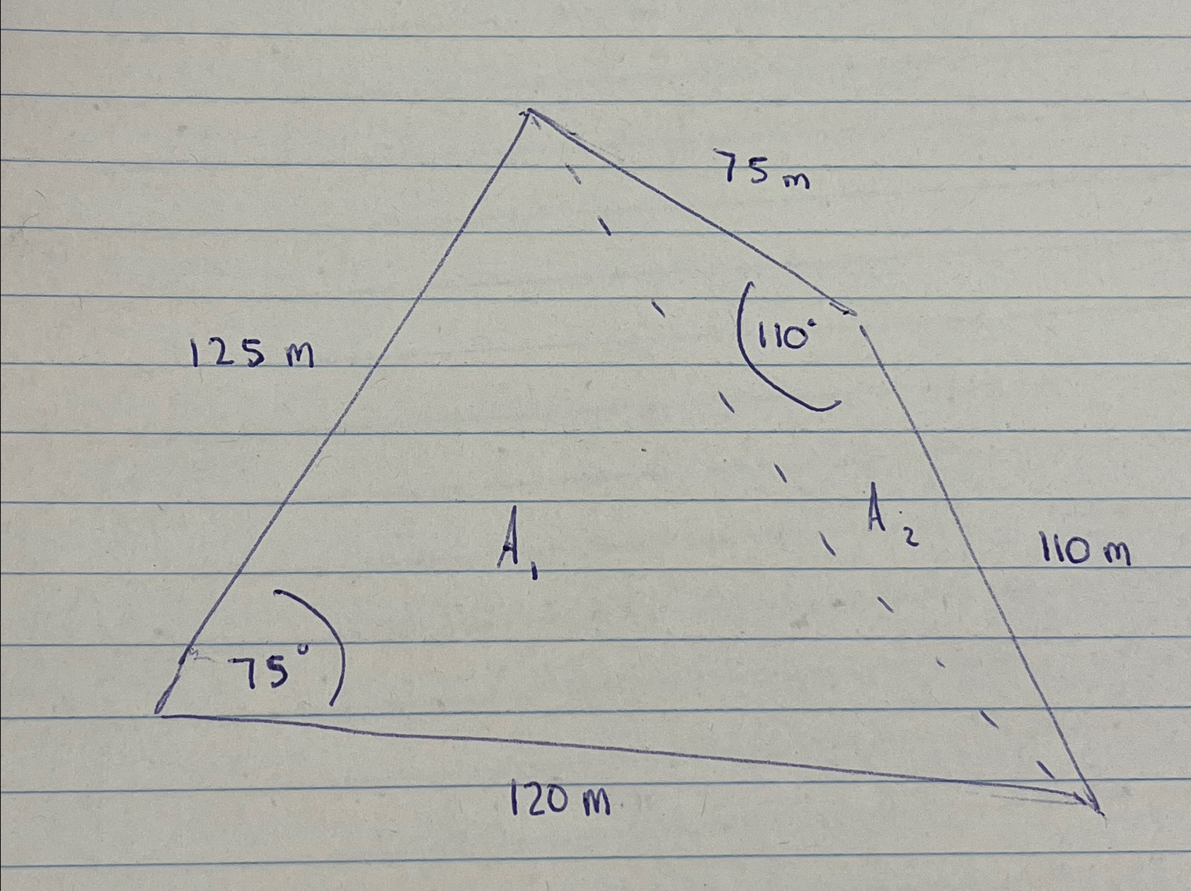 The land shown in the figure is almost flat and