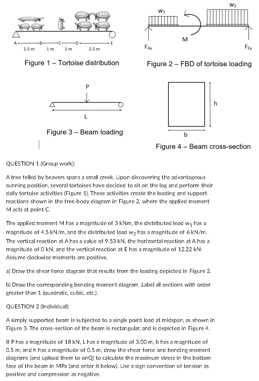 Figure 1 - Tortoise distribution Figure 3 - Beam