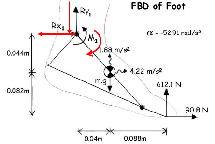 ( A ) Find the horizontal and vertical joint