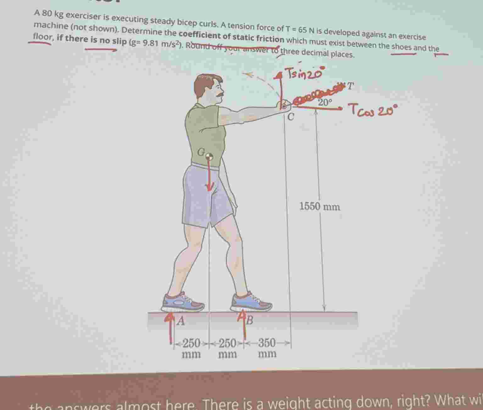 A 8 0 kg exerciser is executing steady bicep
