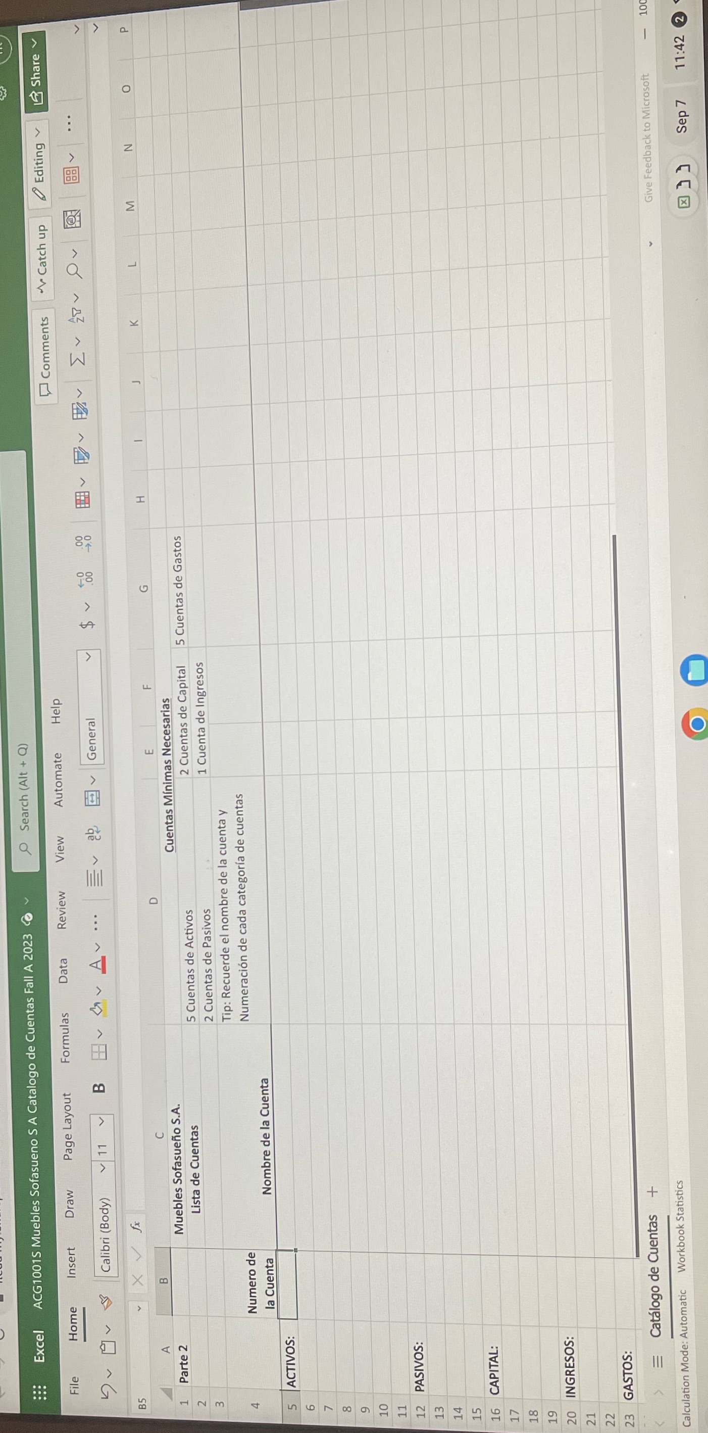 Cree un plan de cuentas para la compaa Sofasueo