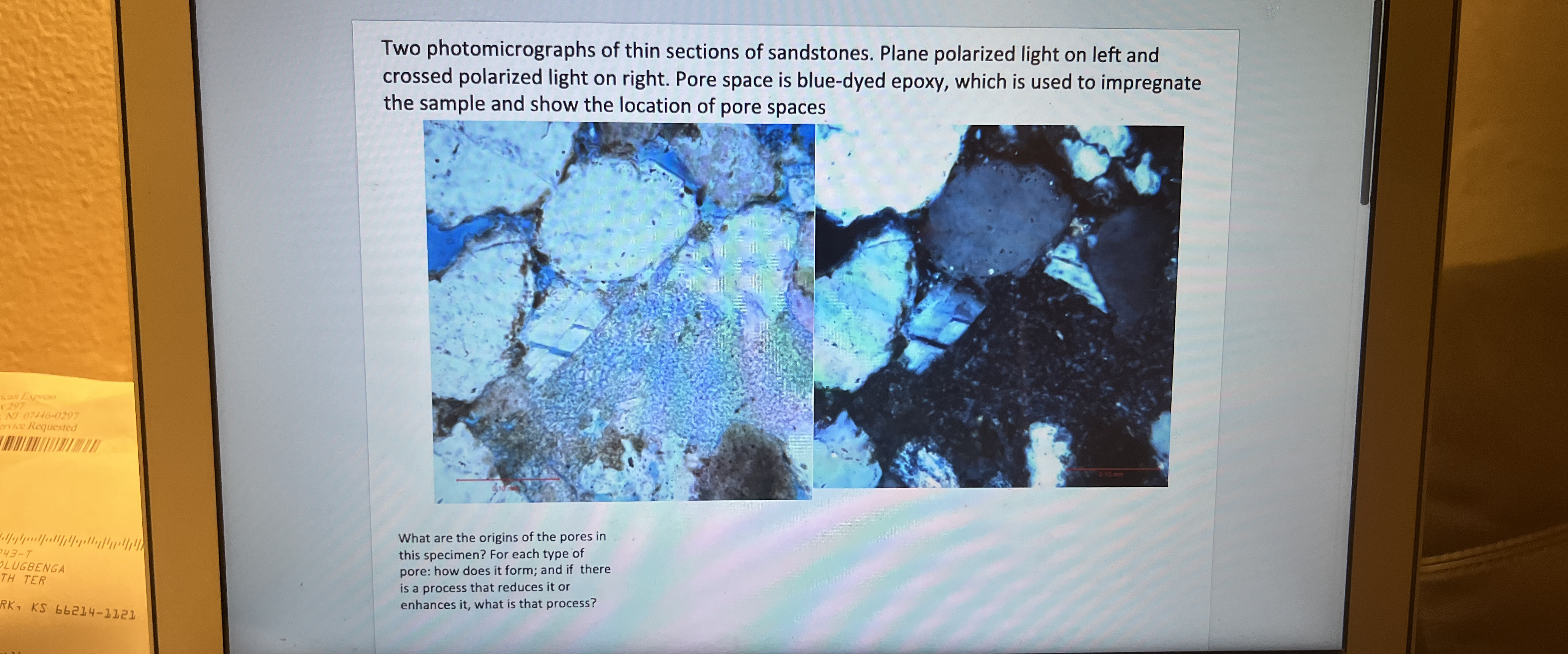 Two photomicrographs of thin sections of