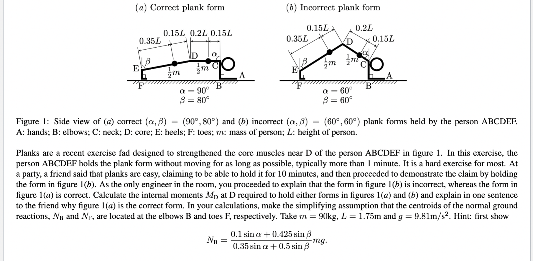 ( a ) Correct plank form ( b ) Incorrect plank