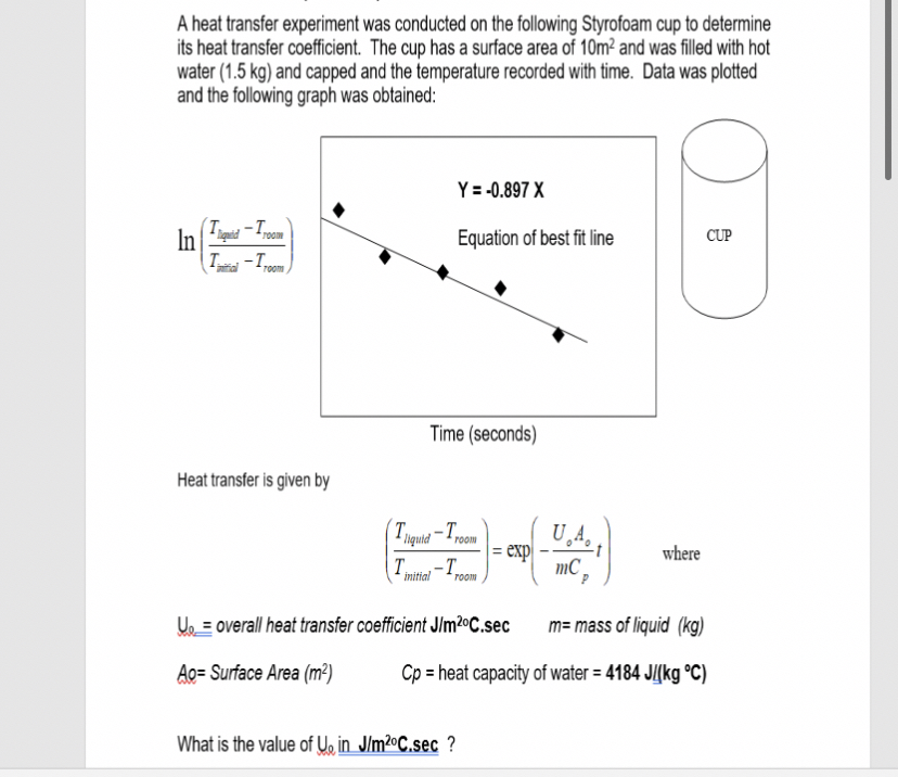 Betting the AFC East Battle: New England Patriots