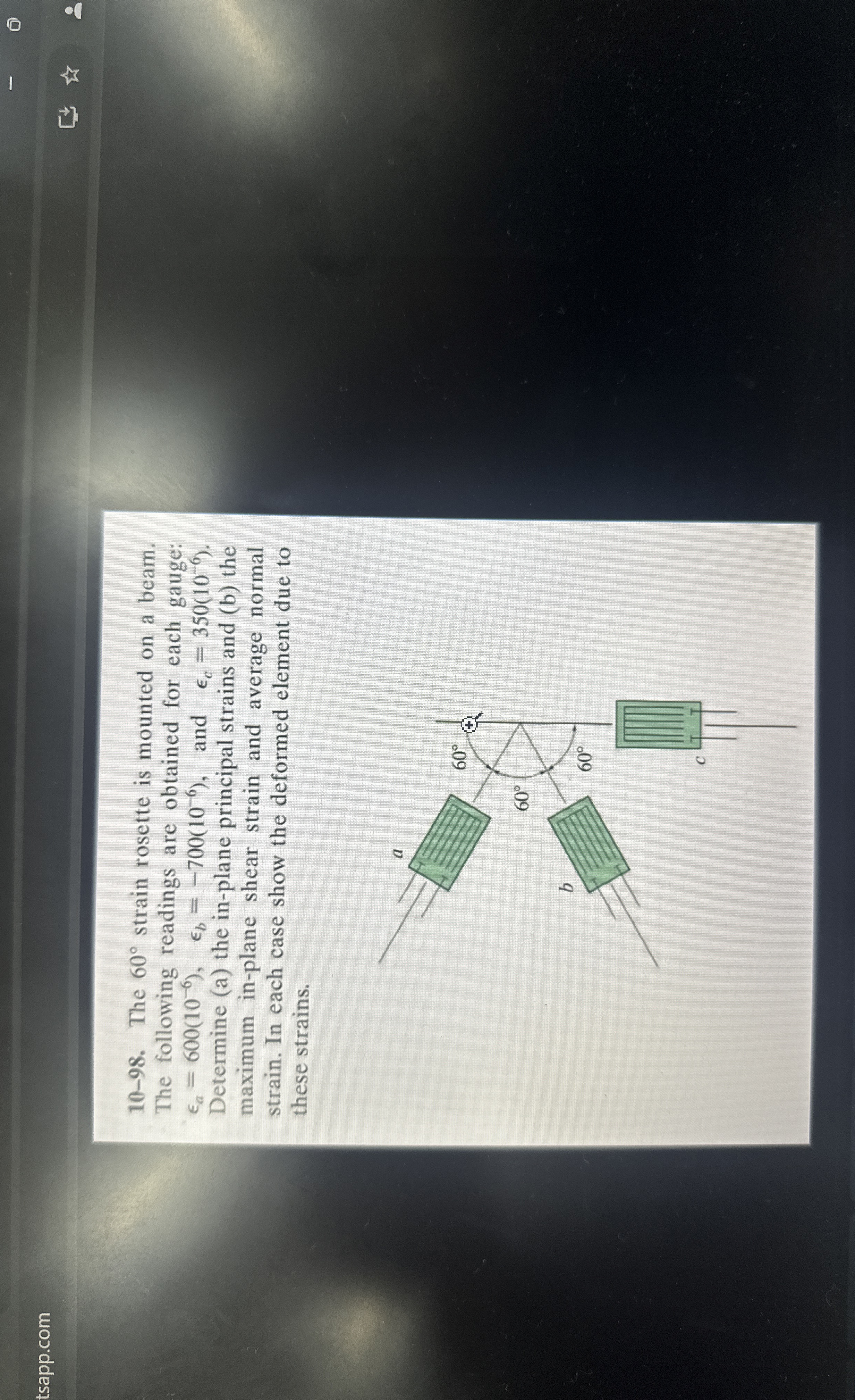 tsapp.com 1 0 - 9 8 . The 6 0 strain rosette is