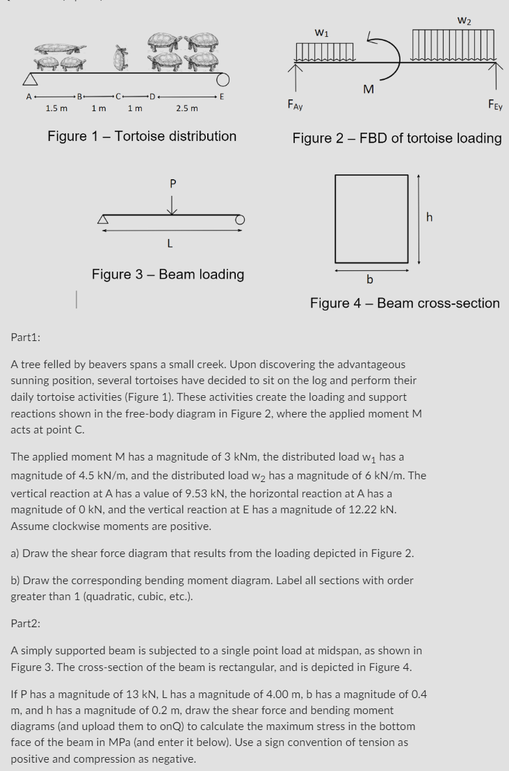 Figure 1 - Tortoise distribution Figure 3 - Beam