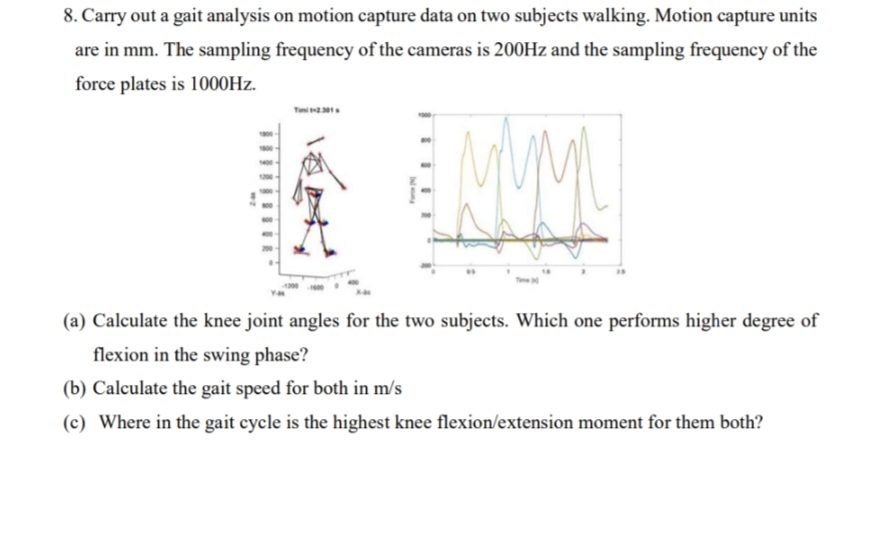 Carry out a gait analysis on motion capture data