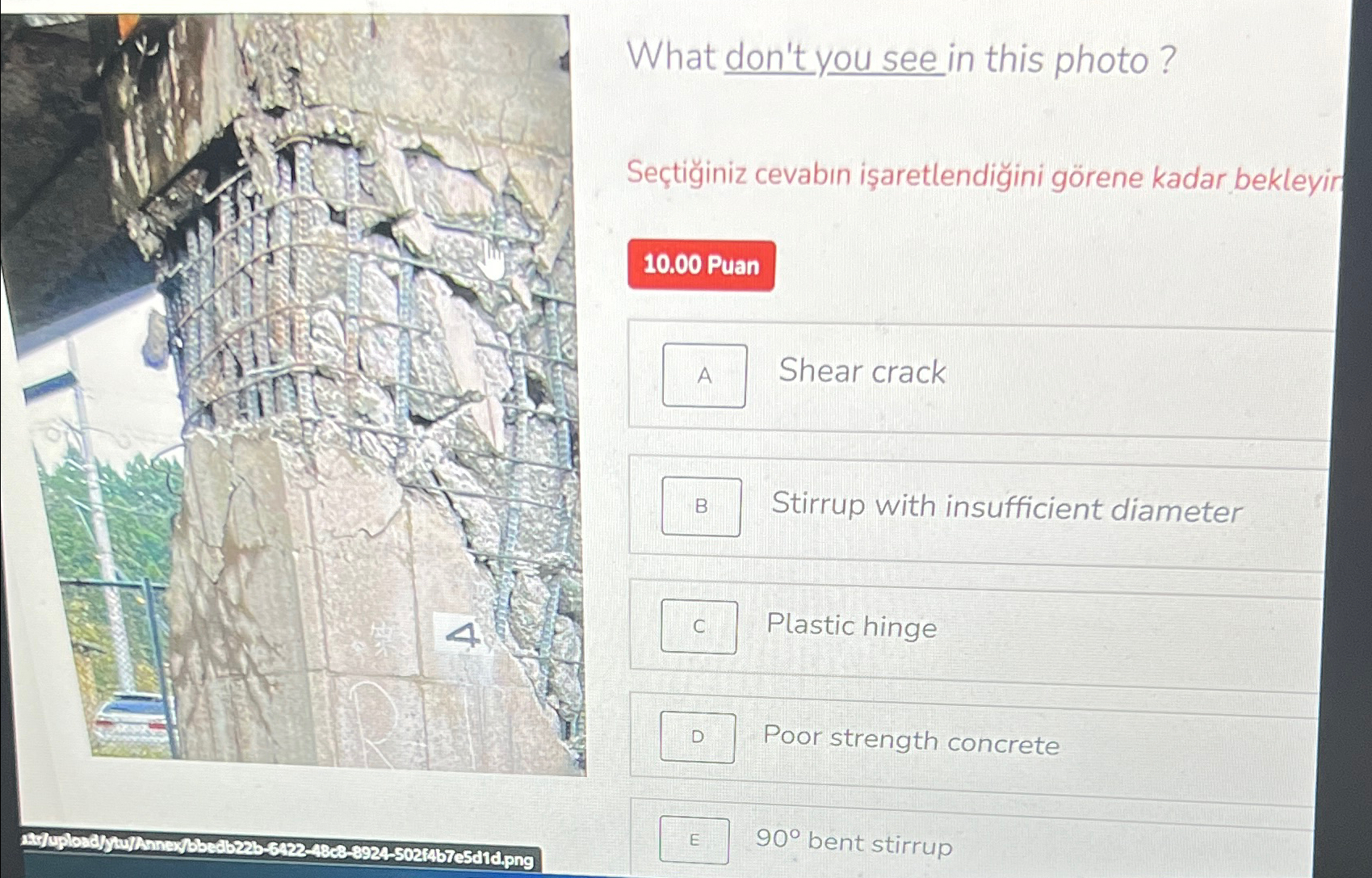 What don't you see in this photo? Se ti iniz